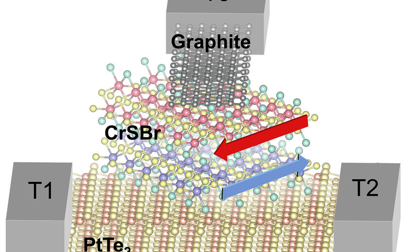 Schematic of the device structure (not to scale), showing alignment of the CrSBr antiferromagnetic sublattices (red and blue arrows) 45° with respect to the current in the PtTe2 channel.