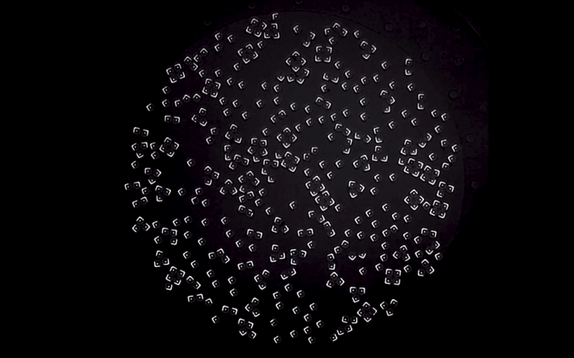 image of a circle of white microparticles on a black background.
