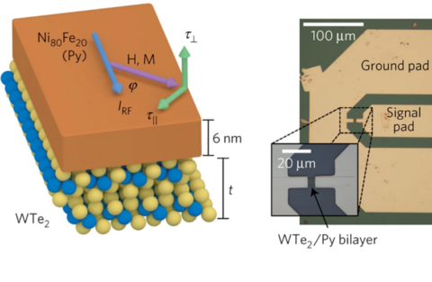 Control of spin–orbit torques through crystal symmetry in WTe2/ferromagnet bilayers
